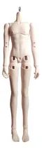 Comprar Cuerpo Bjd Cuerpo Masculino A Escala 1\u002F4 (sin Cabeza)