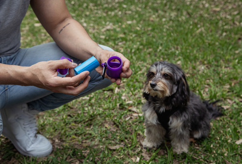 Dispensador Bolsas Desechables Perros Y 4 Repuestos Reynera Color Morado