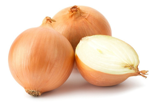 Sementes De Cebola Conquista