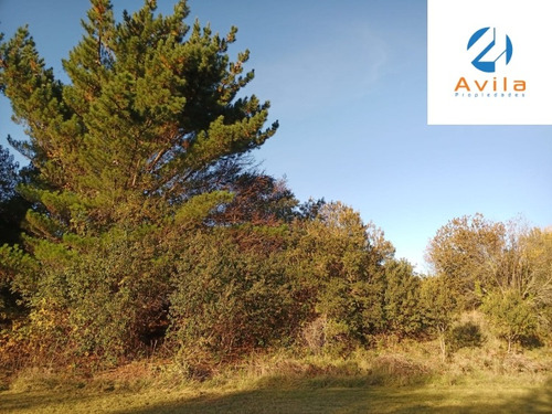 Pucón Huife Parcela 5.000m2 Condominio Trufulco Cod.vtap104