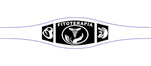 1 Anillo Graduacion Fitoterapia De Plata Con Estuche