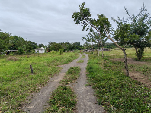Terreno En Venta En Juan De Alfaro Medellin De Bravo, Veracruz.