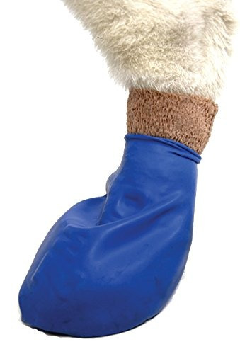 Pawz Azul Impermeable Perro Bota, Media, Hasta 3 Pulgadas