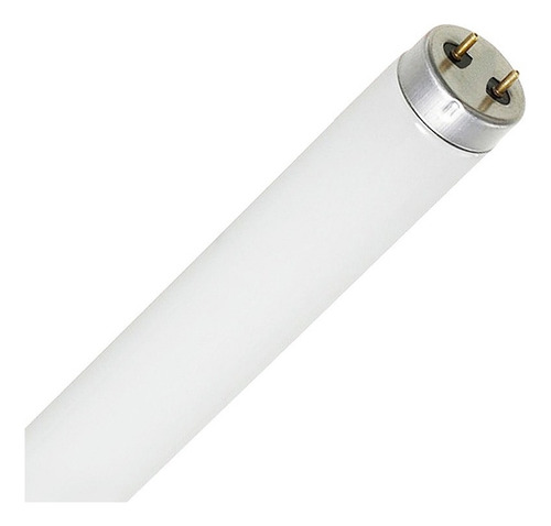 Lâmpada Fluorescente Tubular T8 32w 6400k Frio Granlight Luz Branco Frio 110v/220v