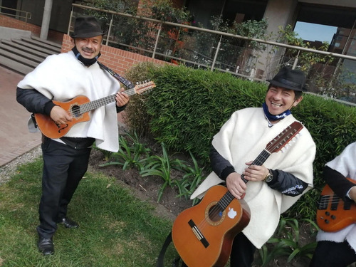 Imagen 4 de 6 de Serenata Carranguera Y Parrandera