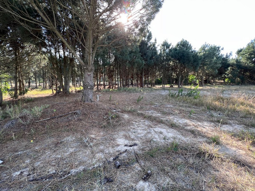 Imagen 18 de 18 de Venta Terreno Financiable Lomas De Solymar Canelones