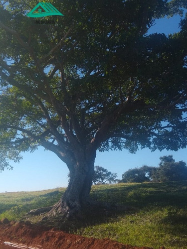 Imagem 22 de 22 de Chácara A Venda No Bairro Zona Rural Em Pouso Alto - Mg. - 320-1