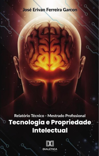 RELATÓRIO TÉCNICO - MESTRADO PROFISSIONAL, de JOSÉ ERIVAN FERREIRA GARCON. Editorial EDITORA DIALETICA, tapa blanda en portugués