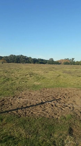 Imagen 5 de 13 de Chacra En Venta - 6ha - La Lucila Del Mar