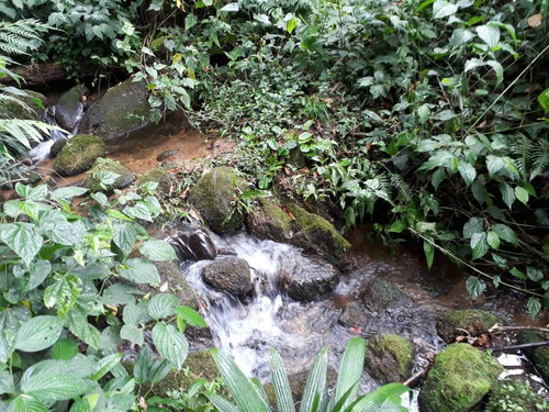 Vende-se Terrenos Há Partir De 390 M2 No Coriscão Paraty