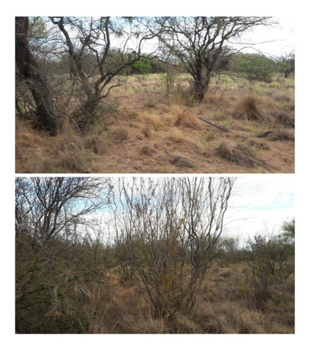 Imagen 1 de 1 de Campo En Brandsen 280 Hectáreas