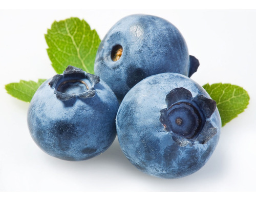 100 Sementes De Blueberry Mirtilo Anão 
