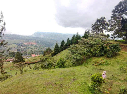 Venta De Finca En Guarne, Vereda Batea Seca