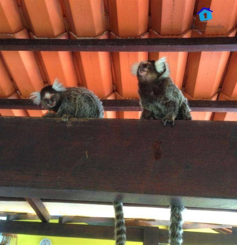 Imagem 8 de 30 de Lindo Hotel Pousada No Morro Do Careca (cartão Postal De Natal) - Po0029