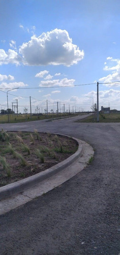 Terrenos En Villa Amelia Sobre Ruta Comercial - Ideal Negocio