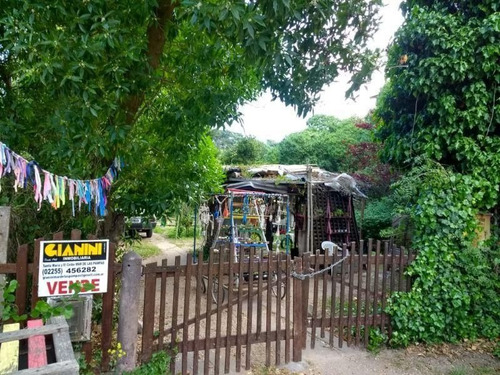 Imagen 2 de 2 de Lote | 33