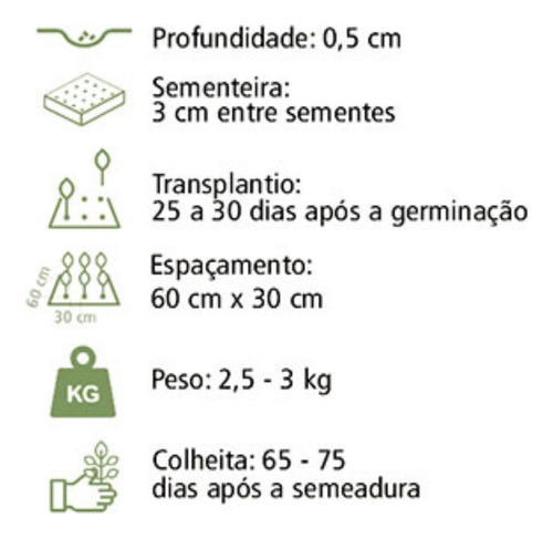 2x Sementes De Couve Chinesa Kyoto Horta Muda Alta Qualidade