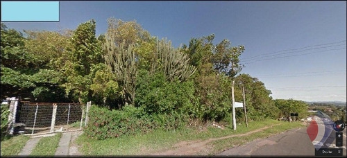 Imagem 2 de 3 de Terreno - Belem Velho - Ref: 8240 - V-8240