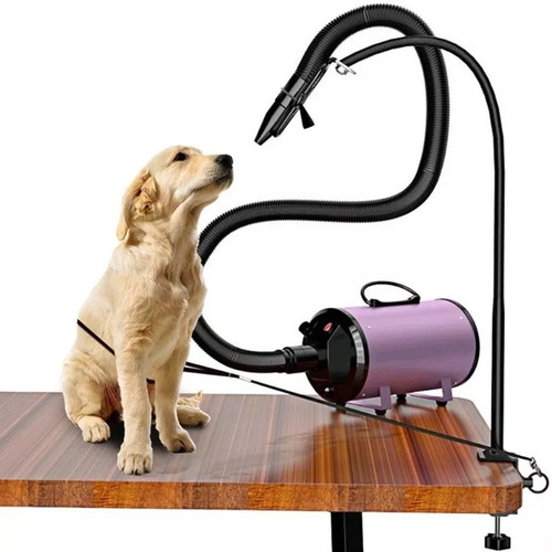 Secador Para Pelo Para Mascota Turbina Aire Perros Gatos 
