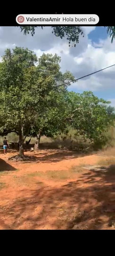 Imagen 9 de 9 de Finca En Venta Tinaco Cojedes