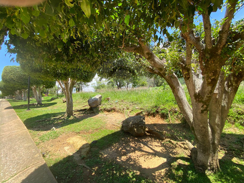 Terreno Residencial En Venta En Fraccionamiento La Herradura
