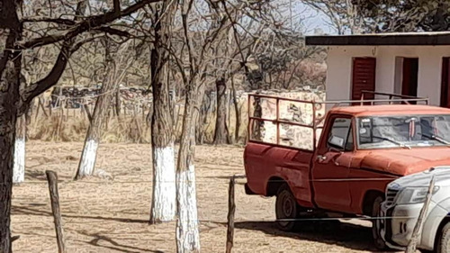 Imagen 5 de 14 de Vendo Campo 320 Hectáreas