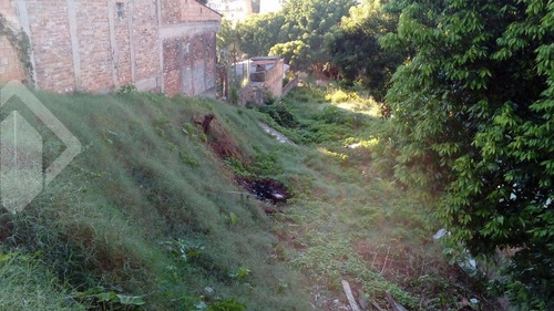 Imagem 5 de 6 de Terreno - Santa Tereza - Ref: 219603 - V-219603
