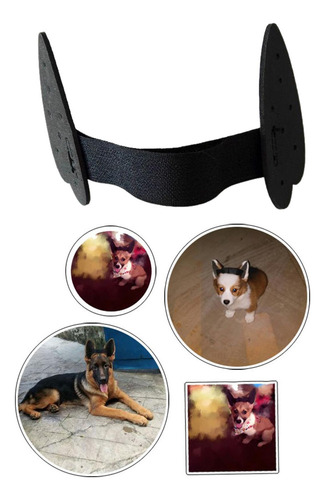 2 Soporte Duradero Para Orejas De Perro, Pegatinas Para