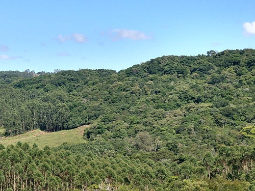 Chácara 10.000 M² - Maracanã - Glorinha - Rs - 2015 - 33422751