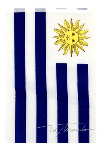Guía De Banderas De Uruguay Mundial 15 Unidades De 14 X 21cm