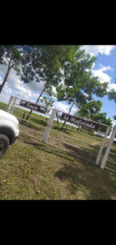 Imagen 9 de 10 de Se Vende Finca Vial Alsur Cerca Del Veladero Ve02-1313vs-myafar