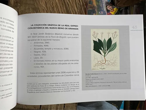 Anatomía Botánica - Clorofila Geográfica - Estuché 2 Libros
