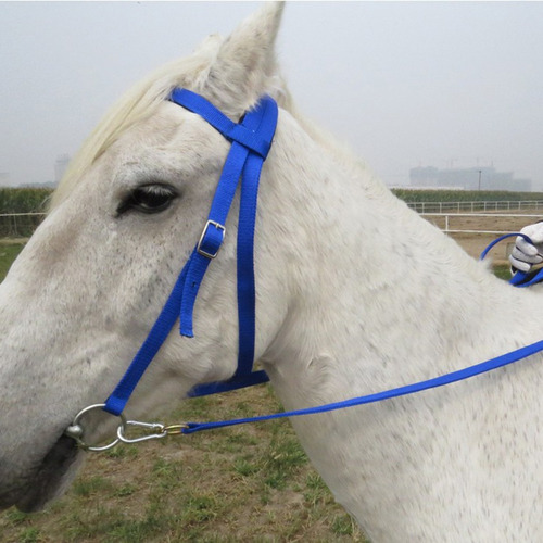 Brida De Nylon Para Montar A Caballo Azul L