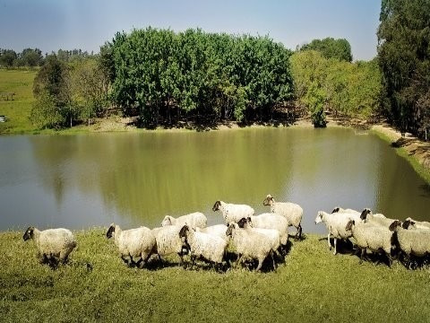 Imagem 11 de 24 de Condomínio Haras Larissa - Tr01342 - 69296908