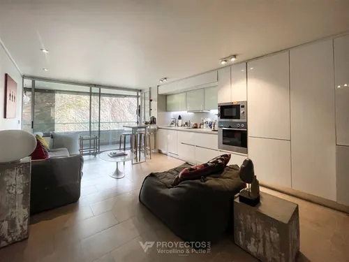 Departamento En Arriendo De 1 Dorm. En Providencia