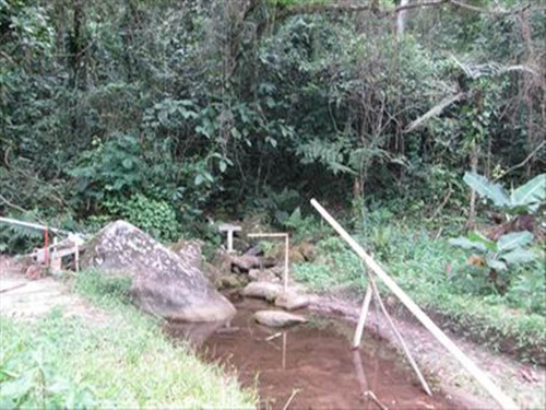 Imagem 16 de 16 de Rural - Venda - Loty - Itanhaem - Ita1332