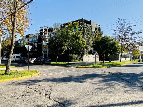 Triplex En Arriendo 1d,2b,1est,1bd,terraza. En Providencia
