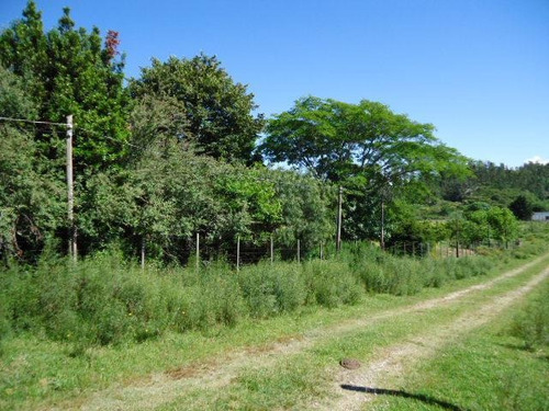 Campo En Venta En Lavalleja, 65 Hectáreas.