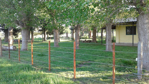 Campo Mixto En Chascomús - Permuta En La Plata