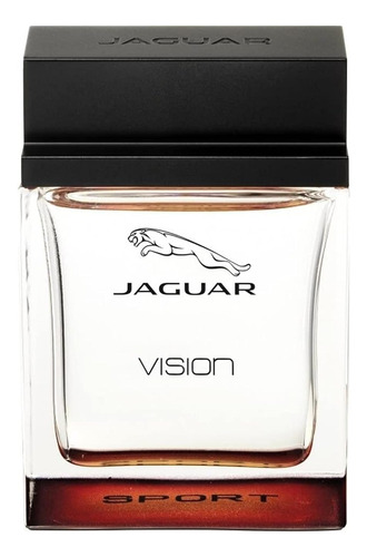 Perfume Jaguar Vision Sport Eau De Toilette 100 Ml Para Homb