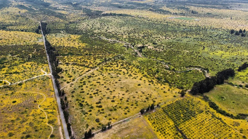 Parcelas En Venta En Zapallar.