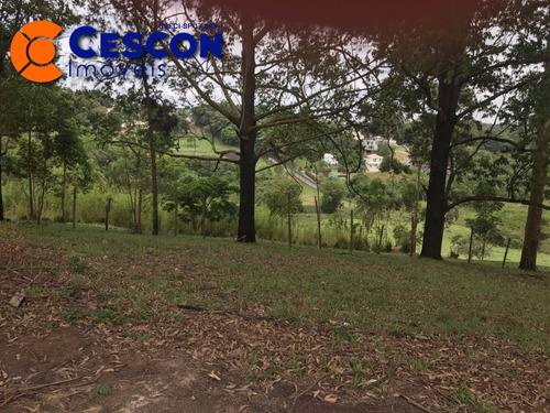 Imagem 5 de 26 de Chacara - Ch00012 - 31910680