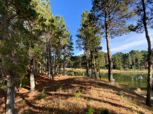 Terreno En Venta La Serena