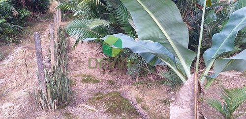 Chácara A Venda No Bairro Centro Em Garuva - Sc. - 352-1