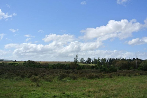 Campo En Venta