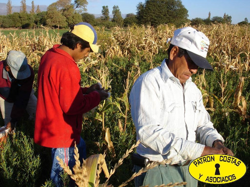 2071hp 100 Has Finca C/riego Y Hosteria. Valles Calchaquies