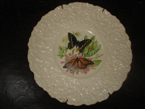 Plato Porcelana Royal Cauldon Butterflies Of The Word 