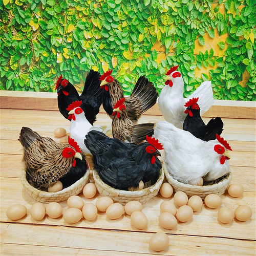 Modelo De Simulación De Pollo, Figura De Gallina Sin Cesta