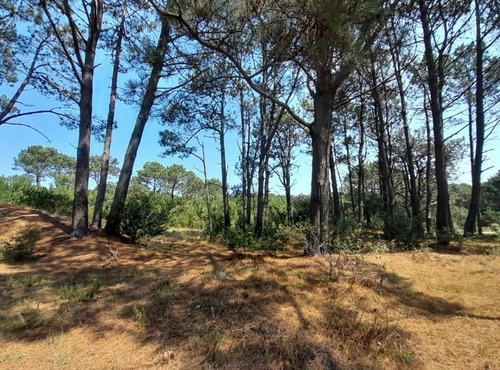 Imagen 3 de 7 de Terreno En Venta En Barra Verde