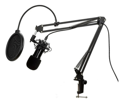 Kit Microfone Condensador Alra Music Xlr Al-m800 Podcast